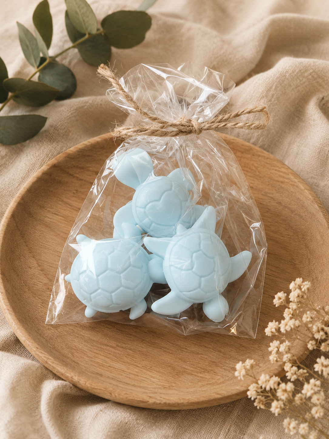 Mini Schildkröten 3er Set